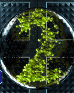 animacja logo072